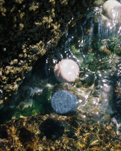 Custom image caption