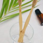 AĞIZ ve DİŞ BAKIMI