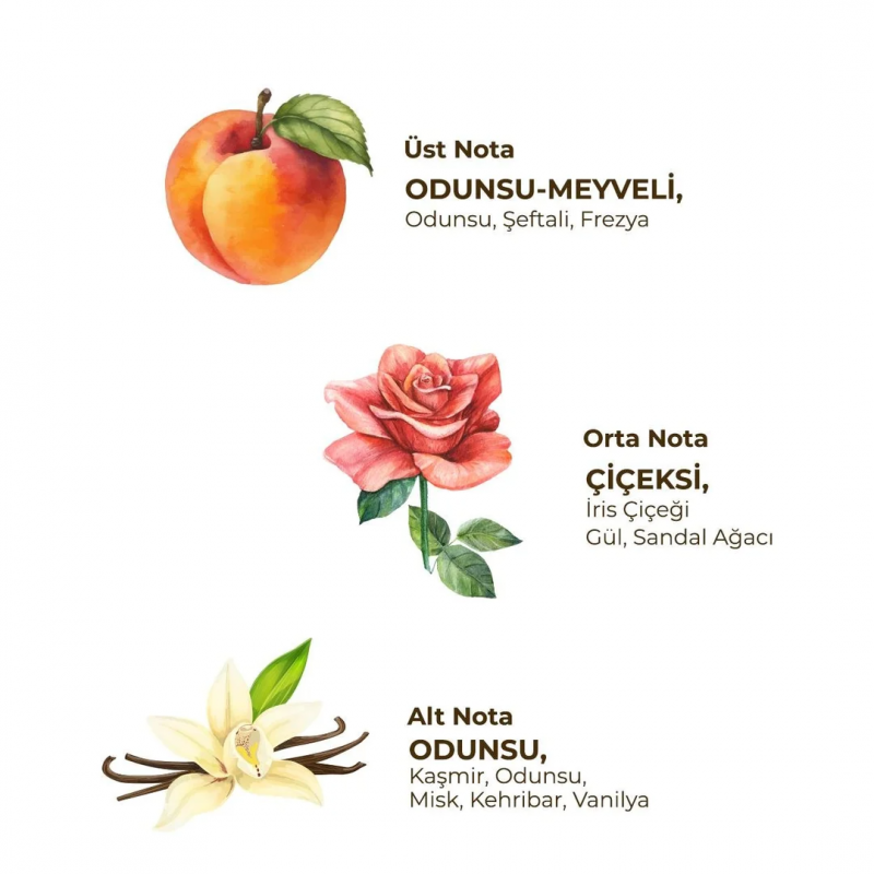 Soft - Kadın Roll On Deodorant 75 ml