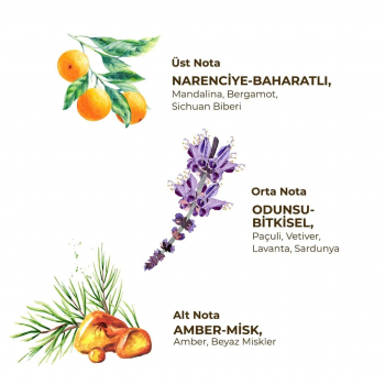 Sport - Erkek Roll On Deodorant 75 ml