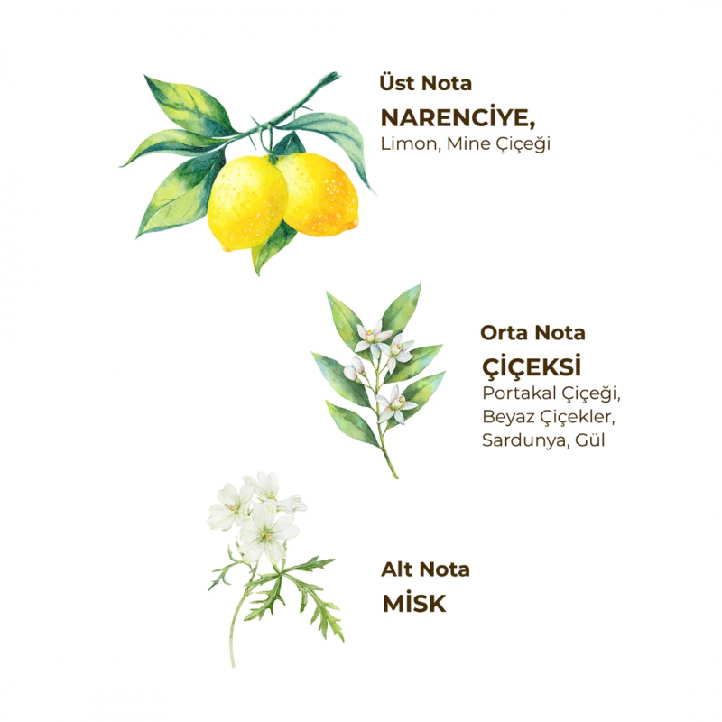 Verbena Citrus 150 ml Eau De Toilette